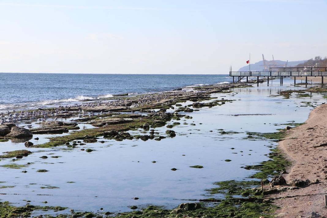 Marmara'da korkutan görüntü: Deniz 25 metre çekildi! Deprem habercisi mi? Uzmanı yanıtladı 6